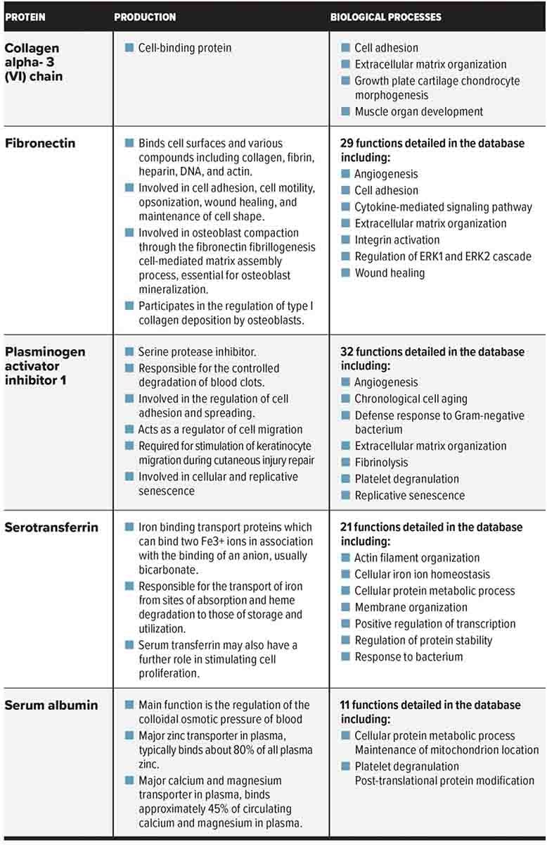 Exovex-Molecular-Characterization-1-scaled