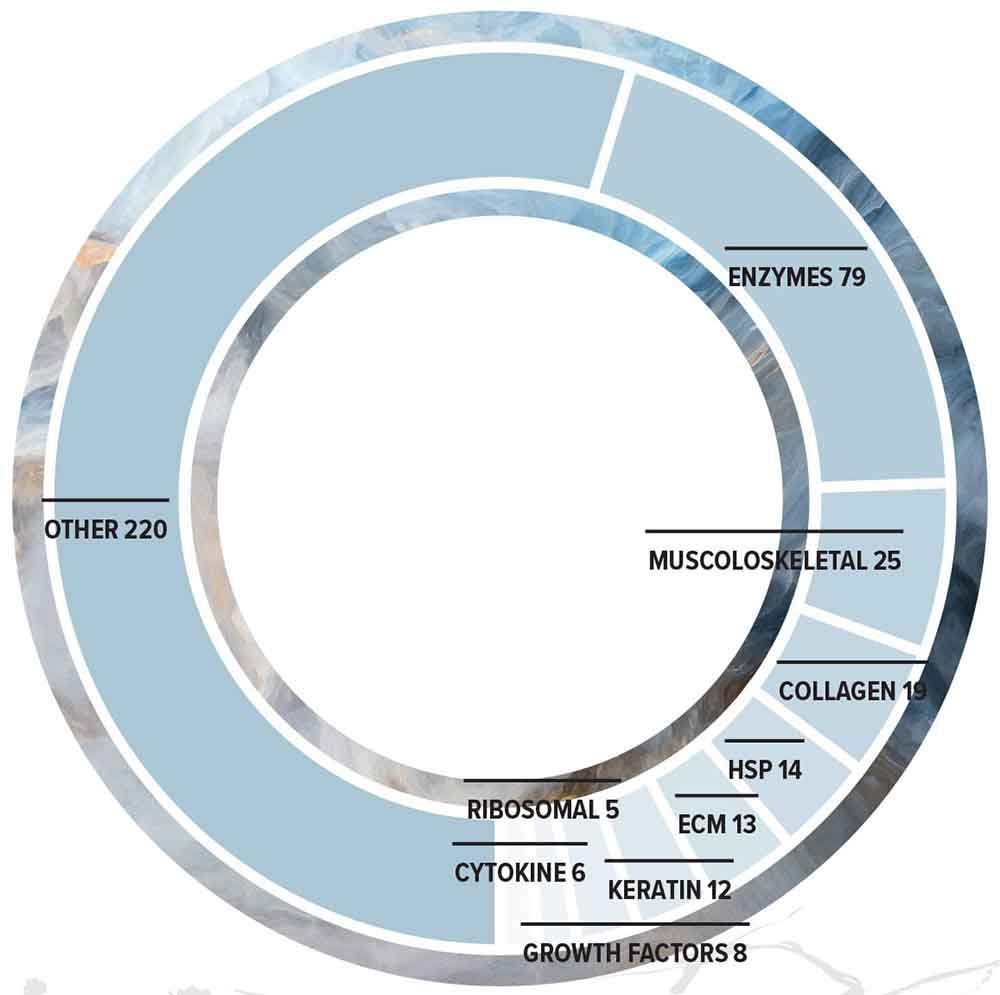 Exovex-Molecular-Characterization-3