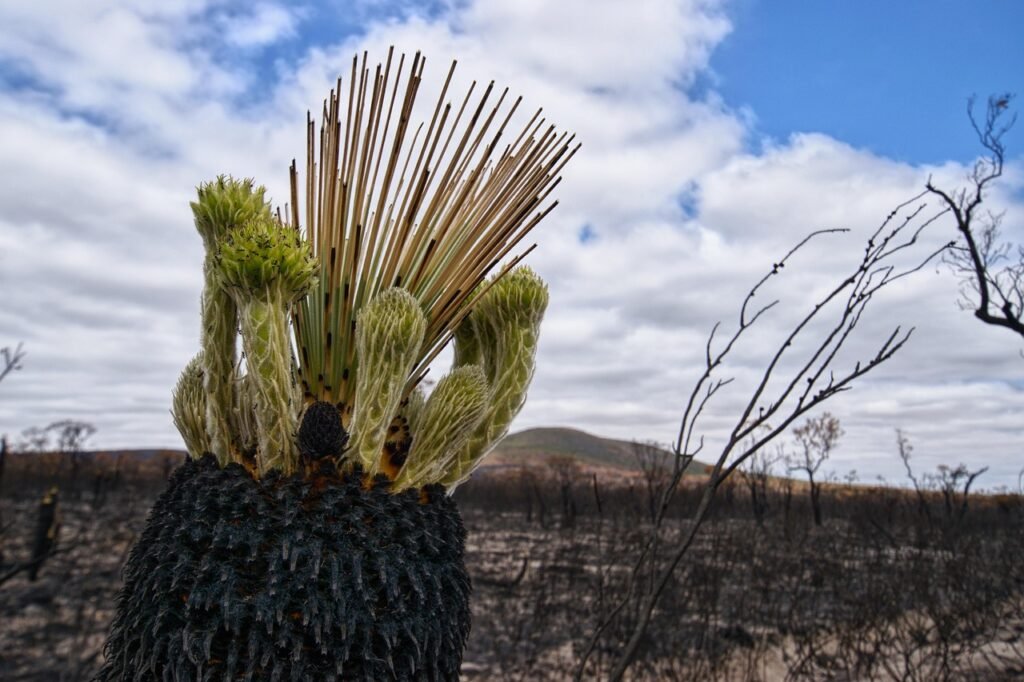 Can Thinning Hair Be Reversed?