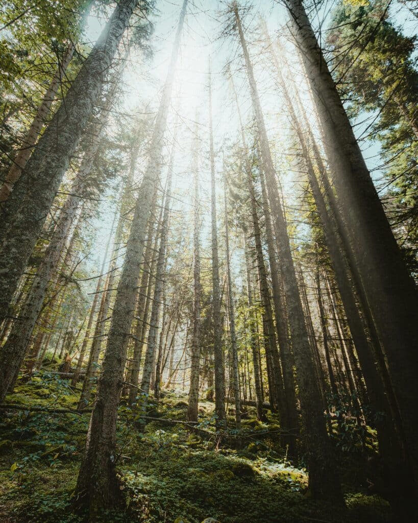 How Can A Woman Grow Her Hair Back?