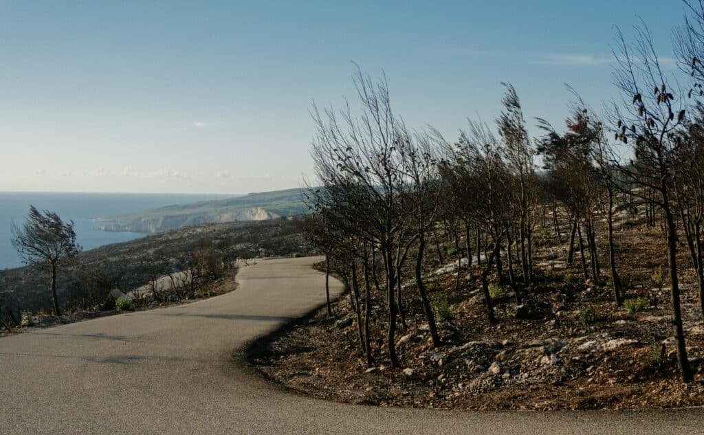 How Can A Woman Grow Her Hair Back?