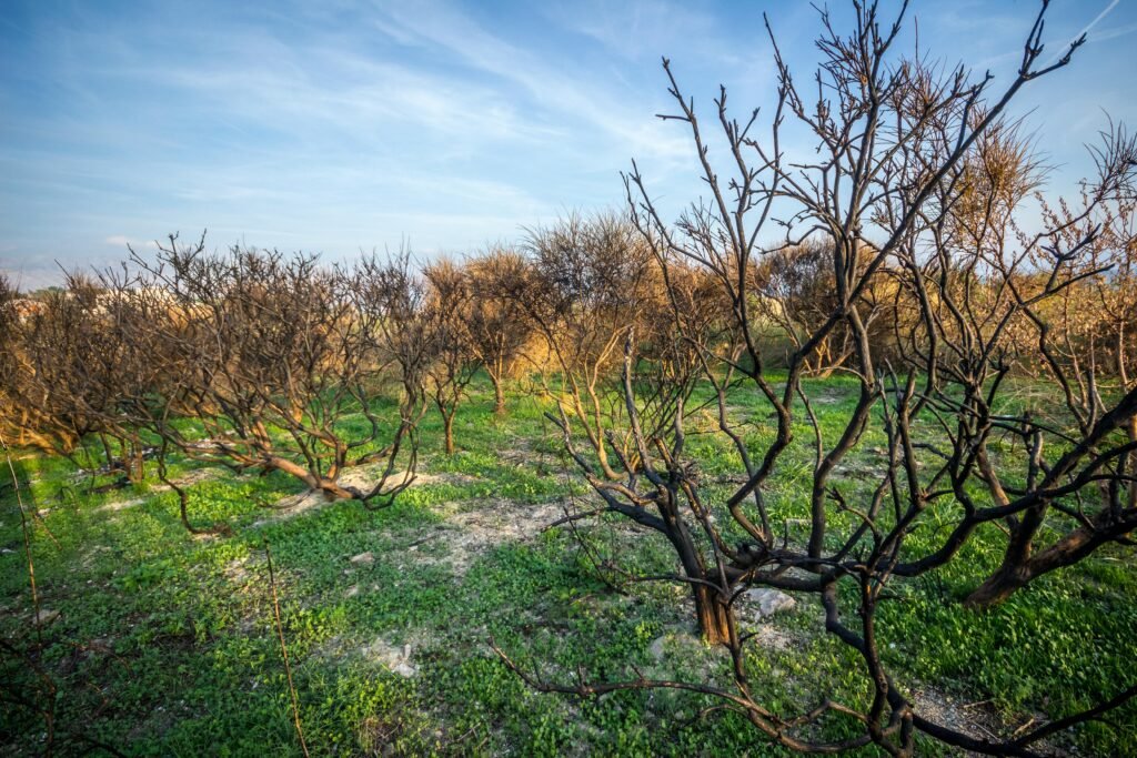 Will Baldness Be Cured By 2030 Male?